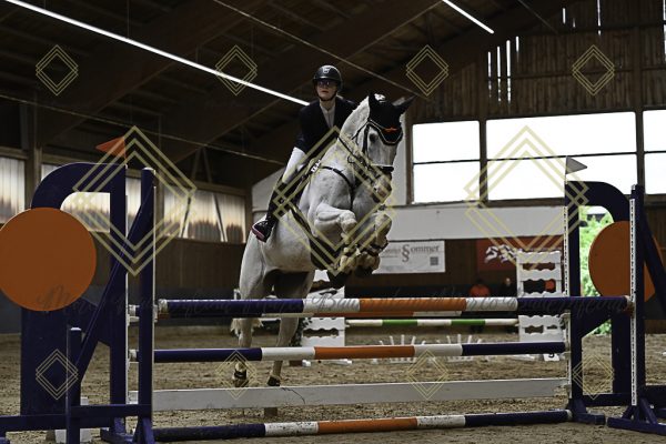 Fränkische Meisterschaft - Prüfung 21, Ponystilpr. Kl. A** m.St. - Image 35