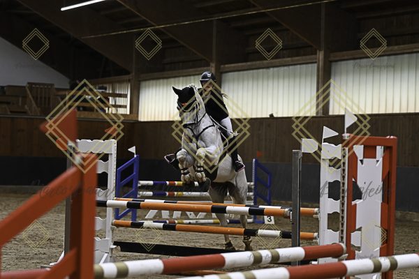Fränkische Meisterschaft - Prüfung 21, Ponystilpr. Kl. A** m.St. - Image 36