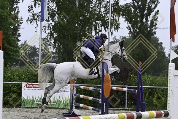 Fränkische Meisterschaft - Prüfung 7, Springpr. Kl. L - Image 106