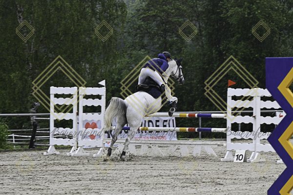 Fränkische Meisterschaft - Prüfung 7, Springpr. Kl. L - Image 107