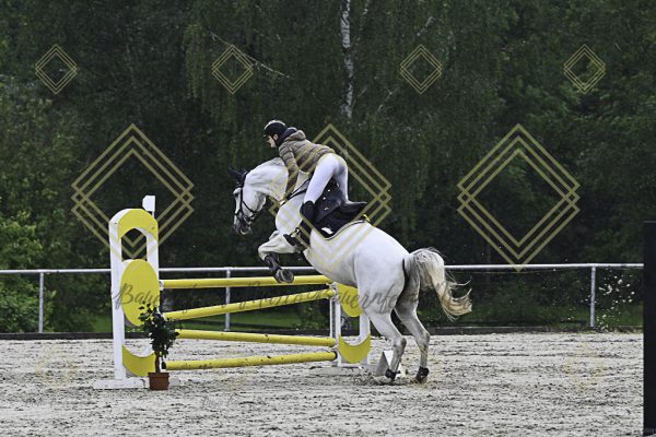 Fränkische Meisterschaft - Prüfung 7, Springpr. Kl. L - Image 110