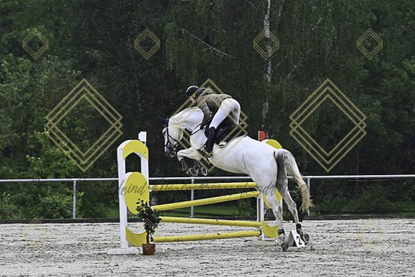 Fränkische Meisterschaft - Prüfung 7, Springpr. Kl. L - Image 111