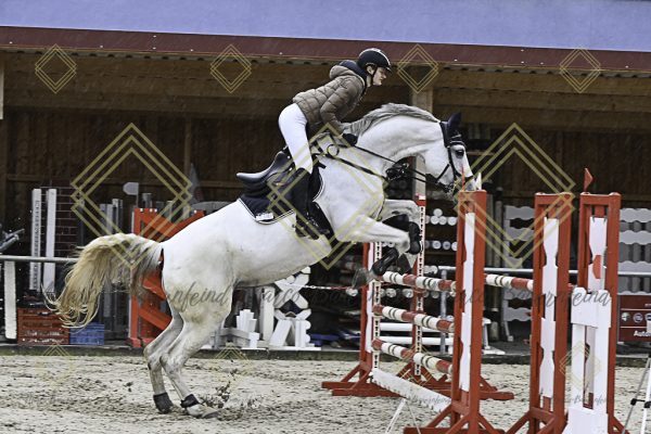 Fränkische Meisterschaft - Prüfung 7, Springpr. Kl. L - Image 113