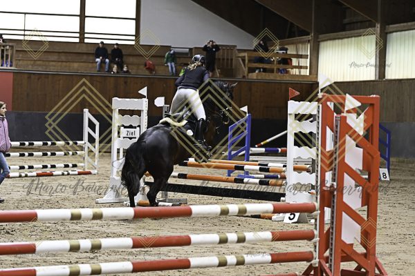 Fränkische Meisterschaft - Prüfung 17, Ponystilpr. Kl. E - Image 22