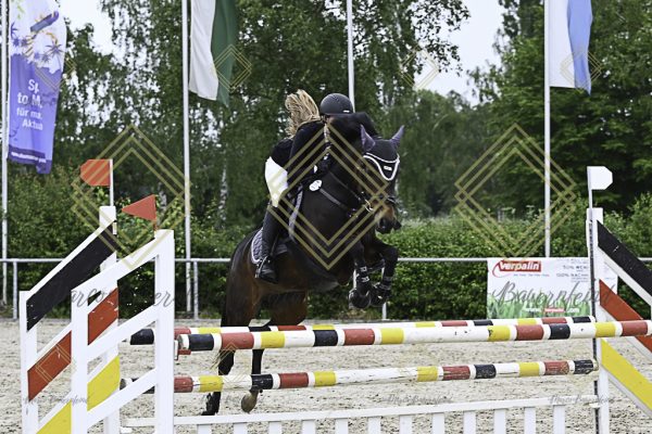 Fränkische Meisterschaft - Prüfung 20, Springpr.Kl.A** - Image 102