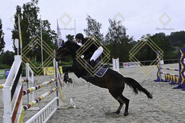 Fränkische Meisterschaft - Prüfung 19, Springpr. Kl. L - Image 150