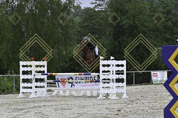 Fränkische Meisterschaft - Prüfung 18, Springpr. Kl. M* - Image 118