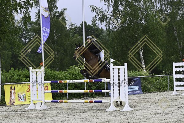 Fränkische Meisterschaft - Prüfung 18, Springpr. Kl. M* - Image 119