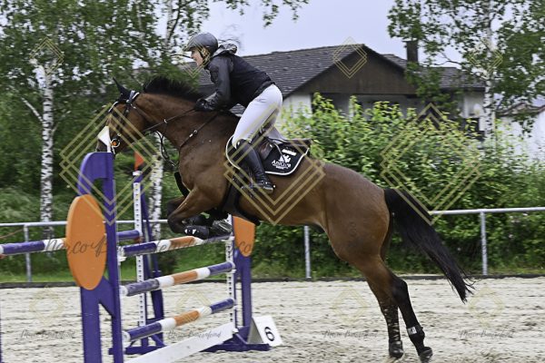 Fränkische Meisterschaft - Prüfung 18, Springpr. Kl. M* - Image 120