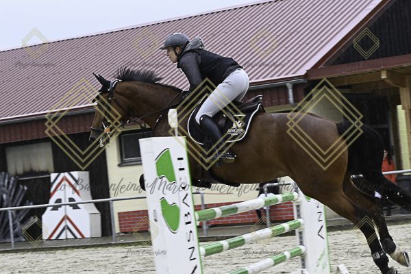 Fränkische Meisterschaft - Prüfung 18, Springpr. Kl. M* - Image 121