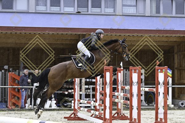 Fränkische Meisterschaft - Prüfung 18, Springpr. Kl. M* - Image 122
