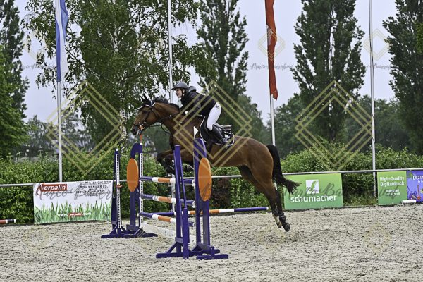 Fränkische Meisterschaft - Prüfung 4, Springpr. Kl. M* - Image 111