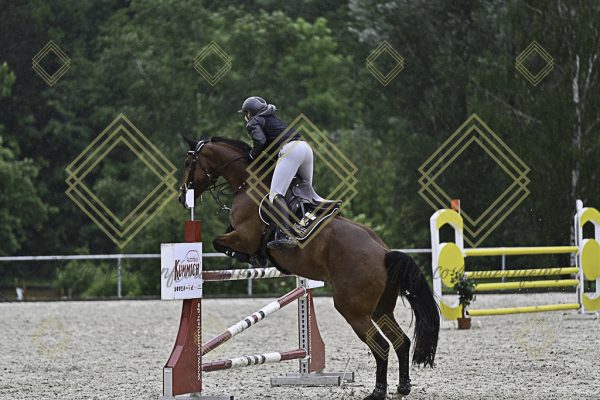 Fränkische Meisterschaft - Prüfung 4, Springpr. Kl. M* - Image 115