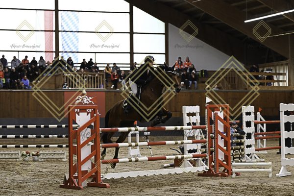 Fränkische Meisterschaft - Prüfung 5, Springpr. Kl. M** - Image 100