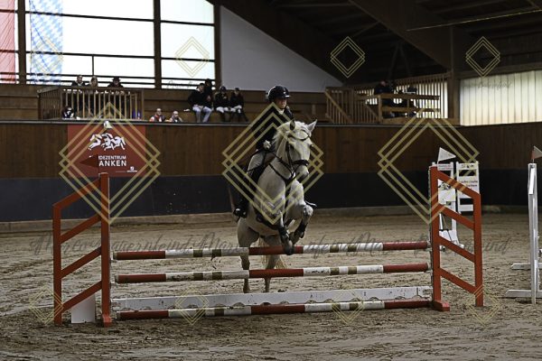 Fränkische Meisterschaft - Prüfung 16, Ponystilpr. Kl. E - Image 22