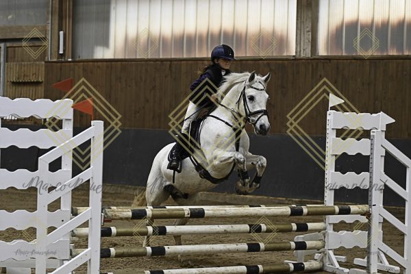 Fränkische Meisterschaft - Prüfung 17, Ponystilpr. Kl. E - Image 24