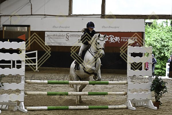 Fränkische Meisterschaft - Prüfung 17, Ponystilpr. Kl. E - Image 25