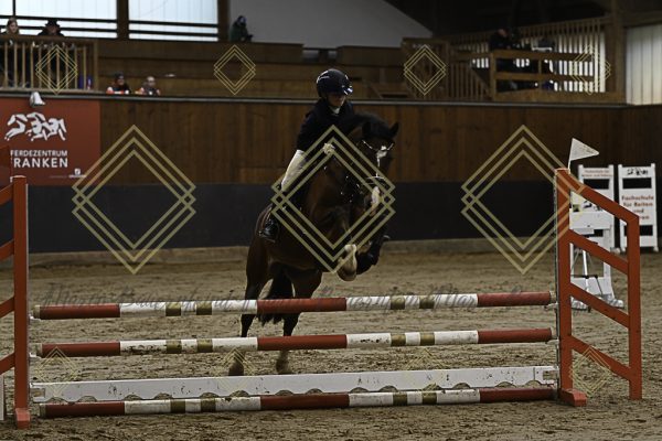 Fränkische Meisterschaft - Prüfung 16, Ponystilpr. Kl. E - Image 26