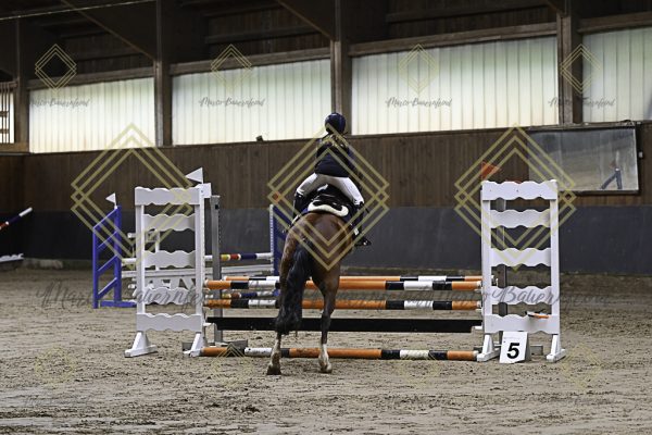 Fränkische Meisterschaft - Prüfung 17, Ponystilpr. Kl. E - Image 29