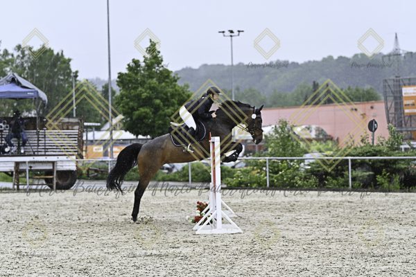 Fränkische Meisterschaft - Prüfung 10, Springpr. Kl. L - Image 183