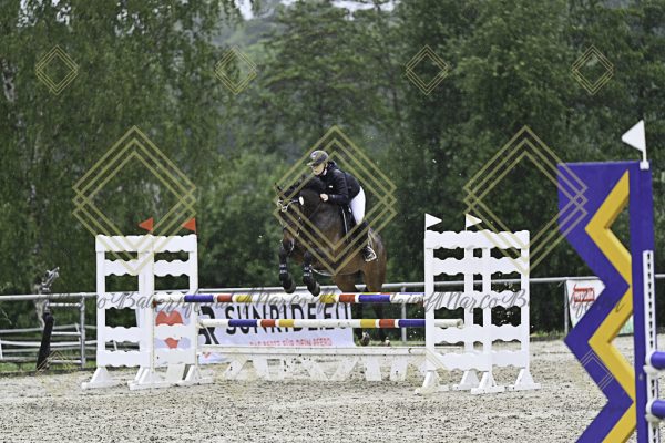 Fränkische Meisterschaft - Prüfung 10, Springpr. Kl. L - Image 185