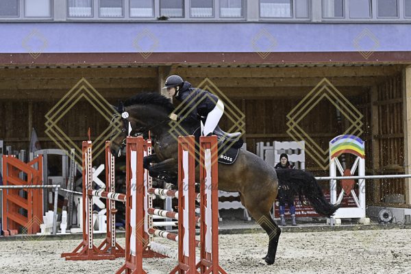 Fränkische Meisterschaft - Prüfung 10, Springpr. Kl. L - Image 188