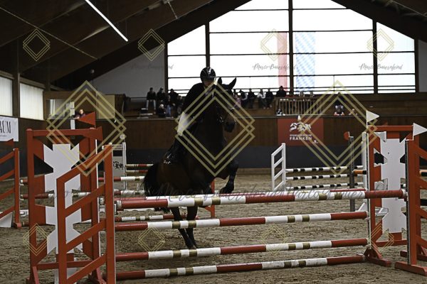 Fränkische Meisterschaft - Prüfung 21, Ponystilpr. Kl. A** m.St. - Image 38