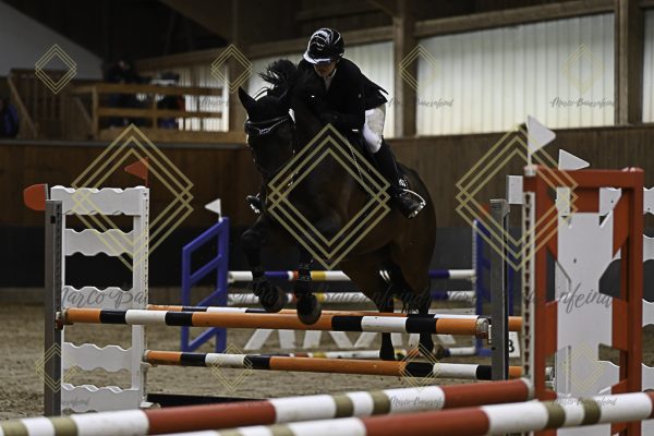 Fränkische Meisterschaft - Prüfung 21, Ponystilpr. Kl. A** m.St. - Image 40