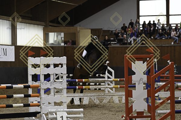 Fränkische Meisterschaft - Prüfung 12, Springpr. Kl. L - Image 165