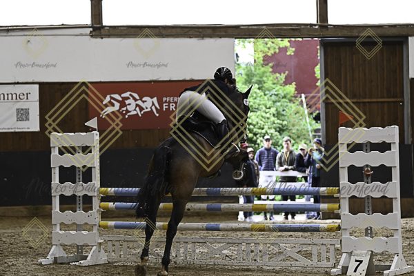 Fränkische Meisterschaft - Prüfung 24, Springpr. Kl. L - Image 48