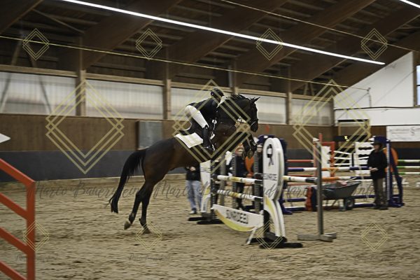 Fränkische Meisterschaft - Prüfung 11, Springpr. Kl. L - Image 115