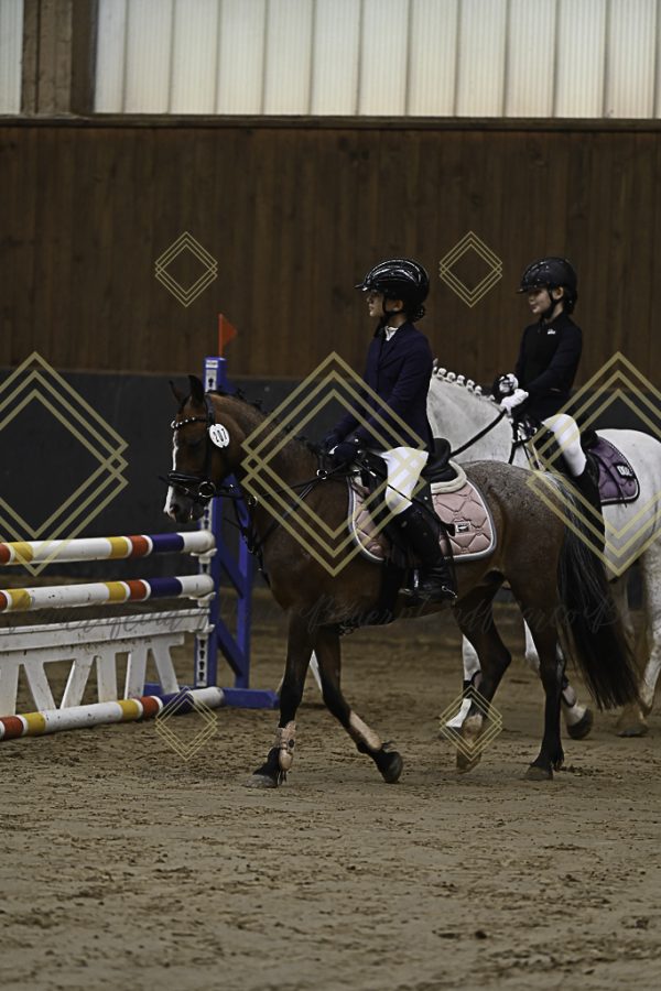 Fränkische Meisterschaft - Prüfung 16, Ponystilpr. Kl. E - Image 30