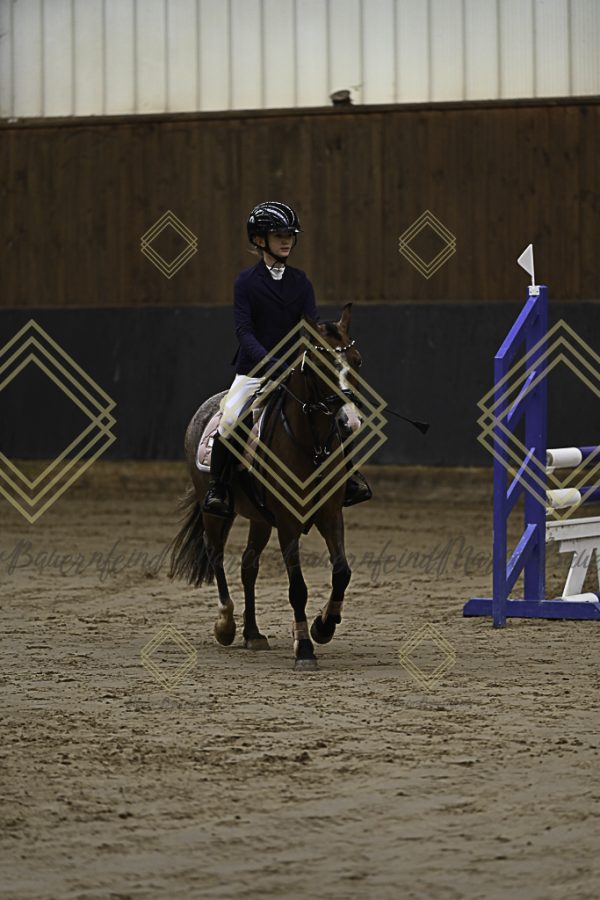 Fränkische Meisterschaft - Prüfung 16, Ponystilpr. Kl. E - Image 31