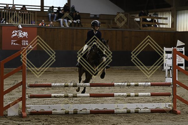 Fränkische Meisterschaft - Prüfung 16, Ponystilpr. Kl. E - Image 32