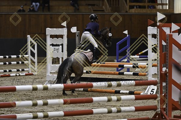 Fränkische Meisterschaft - Prüfung 17, Ponystilpr. Kl. E - Image 35
