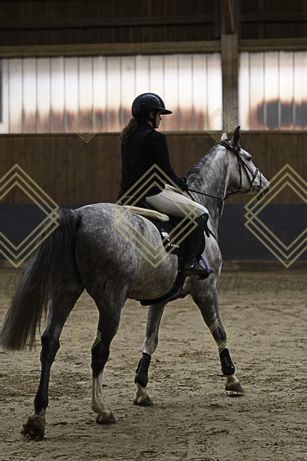 Fränkische Meisterschaft - Prüfung 21, Ponystilpr. Kl. A** m.St. - Image 41