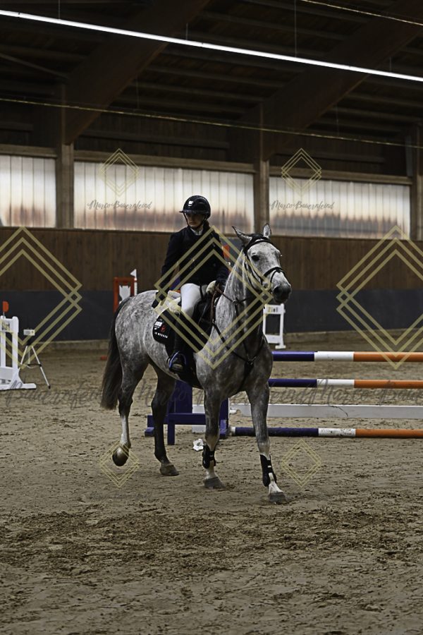 Fränkische Meisterschaft - Prüfung 21, Ponystilpr. Kl. A** m.St. - Image 42