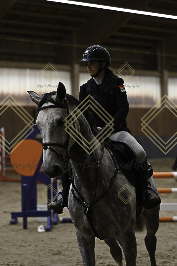 Fränkische Meisterschaft - Prüfung 21, Ponystilpr. Kl. A** m.St. - Image 43