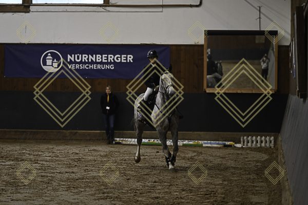 Fränkische Meisterschaft - Prüfung 21, Ponystilpr. Kl. A** m.St. - Image 46