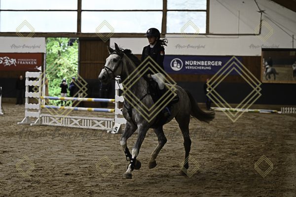 Fränkische Meisterschaft - Prüfung 21, Ponystilpr. Kl. A** m.St. - Image 47