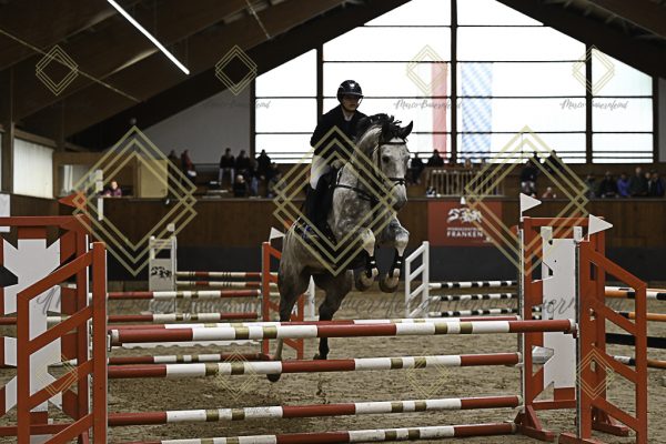Fränkische Meisterschaft - Prüfung 21, Ponystilpr. Kl. A** m.St. - Image 49