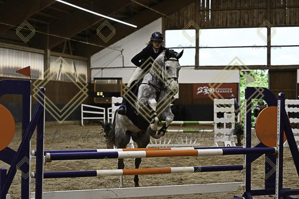 Fränkische Meisterschaft - Prüfung 21, Ponystilpr. Kl. A** m.St. - Image 50