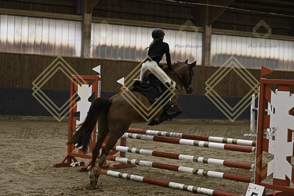 Fränkische Meisterschaft - Prüfung 16, Ponystilpr. Kl. E - Image 37