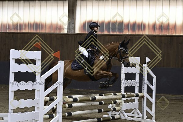 Fränkische Meisterschaft - Prüfung 17, Ponystilpr. Kl. E - Image 38