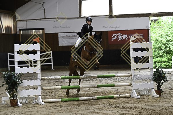 Fränkische Meisterschaft - Prüfung 17, Ponystilpr. Kl. E - Image 39