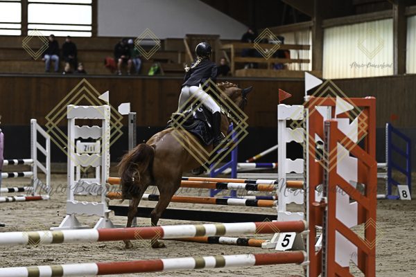 Fränkische Meisterschaft - Prüfung 17, Ponystilpr. Kl. E - Image 40