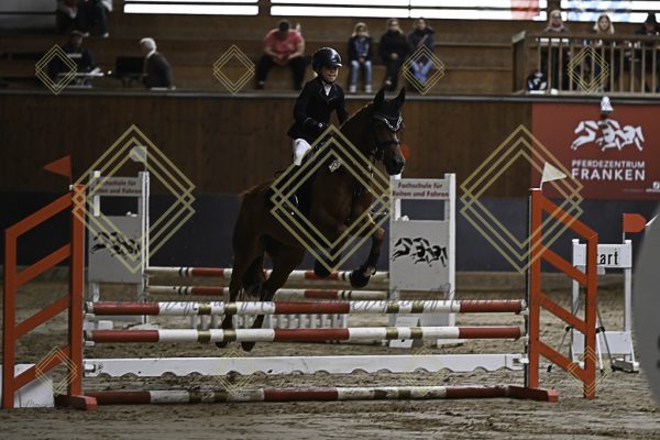 Fränkische Meisterschaft - Prüfung 17, Ponystilpr. Kl. E - Image 41