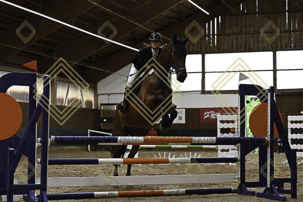 Fränkische Meisterschaft - Prüfung 21, Ponystilpr. Kl. A** m.St. - Image 56