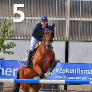 Fränkische Meisterschaft - Prüfung 5, Springpr. Kl. M**