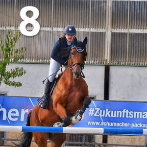 Fränkische Meisterschaft - Prüfung 8, Springpr. Kl. M*